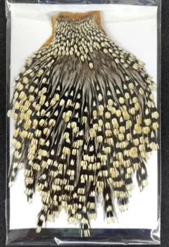 Item thumbnail for item 6367a47b-1f46-43b1-b1c6-ff9bbfd2afb5