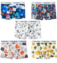 ボクサーパンツ メンズ 下着 5枚セット 前閉じ 通気 吸水速乾 抗菌防臭