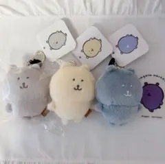 カラーなナガノ　ナガノのくま　韓国限定　クールグレー　グレーブルー ナガノキャラクターズ カラーなナガノのくまマスコット（グレー