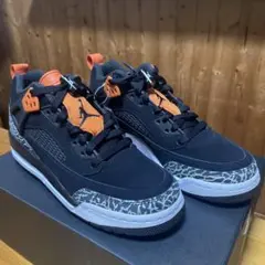 Nike Jordan Spizike Low (GS) レディース24.5cm