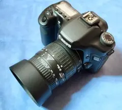 南国MIYAZAKIさんへ、Canon EOS 50D 本体 レンズ無し - メルカリ