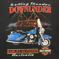 90s ハーレーダビッドソン 雷 サンダー ビンテージ Tシャツ Thunder