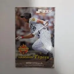 阪神タイガース 2002年 スケジュール 浜中おさむ 福原忍のサムネイル