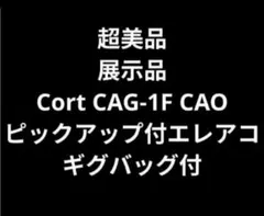 超美品 展示品 Cort（コルト）CAG-1F CAO PU付エレアコ バッグ付のサムネイル