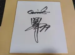 【レプリカユニ】ジャイアンツ　亀井義行　亀井善行　サイン入り 亀井善行 ユニフォーム 読売ジャイアンツ 読売巨人軍 侍ジャパン