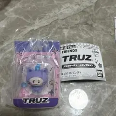 TRUZ FRIENDS ブリスターチャームコレクション　 treasure