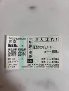 専用 クロワデュノール　新馬戦　現地的中単勝馬券 期限切れ 換金不可 クロワデュノール 東京スポーツ杯2歳ステークス 現地的中単勝馬券
