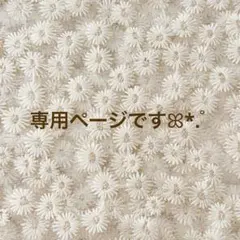 専用ページですꕤ*.゜
