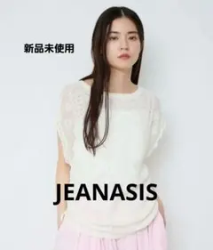 今季☆ジーナシス☆JEANASIS レースパターンドロスト NSのサムネイル