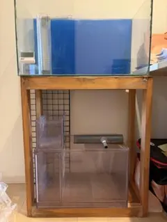 2026年最新】アクリル水槽 60の人気アイテム - メルカリ