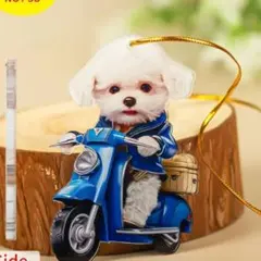 Item thumbnail for item a265b021-c96f-456e-b283-86288881a54a