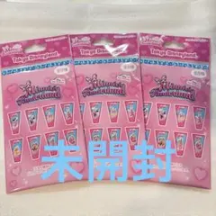 【新品未開封】ディズニー パルパルーザ ミニーのファンダーランド ワッペン