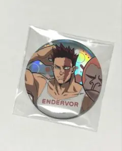 ヒロアカ エンデヴァー 缶バッジ 轟炎司 アニマル ビーチボール MHA