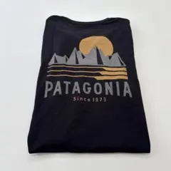 パタゴニアロゴtシャツのサムネイル