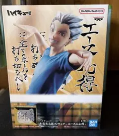 最終値下げ‼️ハイキュー　木兎光太郎　エースの心得　フィギュア