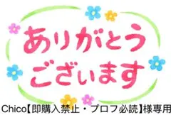 NOMADIS/ノマディス 別注 SAC WIDEトートバッグ