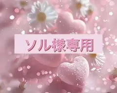 ソル様専用のサムネイル