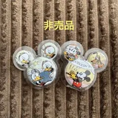 ディズニープロジェクト⭐︎プレミアムバッジシリーズ