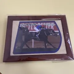 パンザラッサ G1 サウジカップ 2023 ゼッケン付き額入り記念フォトパネル パンサラッサ サウジカップ 額入り 競馬グッズ - メルカリ