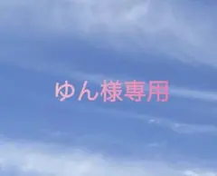 ゆん様専用出品