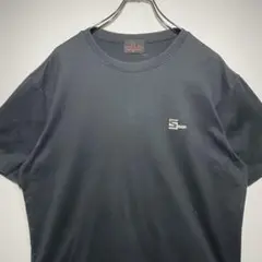 Santa Fe サンタフェ　Tシャツ　サイズ05 ワンポイントロゴ　希少　古着のサムネイル