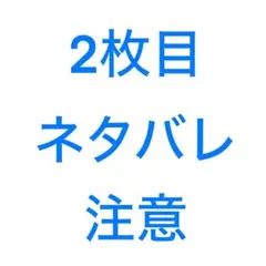 fal3277様 リクエスト 2点 まとめ商品