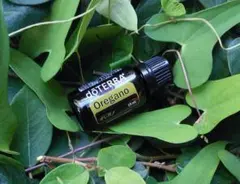 ２４日（土）２２時迄　mikage様 リクエスト 2点 まとめ商品