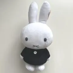 Item thumbnail for item 2fdca523-3776-48fb-8aaa-f9e454f40f21