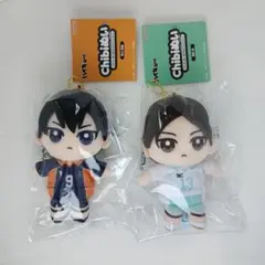 ハイキュー Chibiぬいおすわりマスコット ぬいぐるみ キーホルダー セット