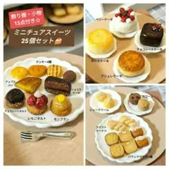 《飾り棚付き☆ミニチュアスイーツセット☆》ケーキ タルト 焼き菓子 コーヒー