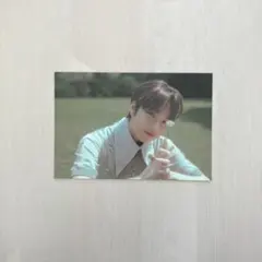 nctwish songbird letter ver サクヤ ポストカード