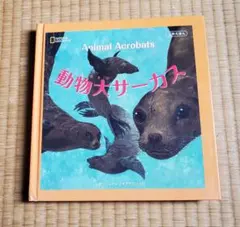 Item thumbnail for item 6b3dfa30-6dbf-47bc-a150-fefb4cfde32a