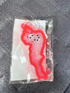 h*e様 琵琶湖キーホルダー　パンダ　草津　新作