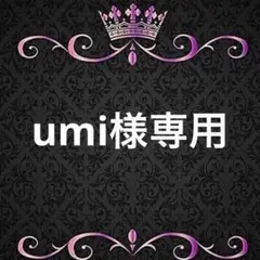 アイロンシート