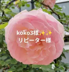 koko3様専用ページ