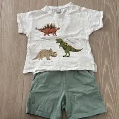 【90cm】プティマイン 恐竜セットアップ