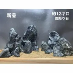 2026年最新】龍王石 親石の人気アイテム - メルカリ