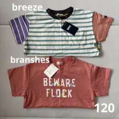 新品タグ付き　Tシャツ2枚セット　breeze ブランシェス 120サイズ