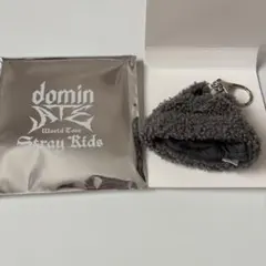 StrayKids バンチャン (ウルフチャン)