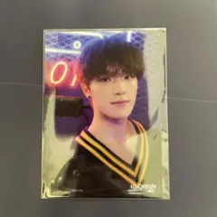 SEVENTEEN ディノ ブロマイド