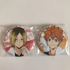 ハイキュー！！　極楽湯コラボ　日向翔陽　孤爪研磨　缶バッジ