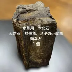 水槽用石　キカセキ　１個のサムネイル