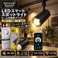 エジソンスマート スポットライト ゴールド RST-SL02GD