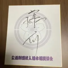 2026年最新】藤浪晋太郎サイン色紙の人気アイテム - メルカリ