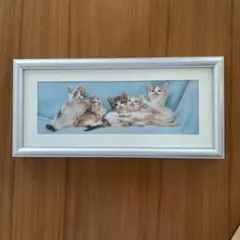 【半切アルミ額縁】2枚セット・フジカラー「DA19」4切・半切・B3対応(良品) 半切アルミ額縁】2枚セット・フジカラー「DA19」4切・半切・B3