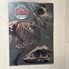 【新品、未開封】大恐竜展クリアファイル