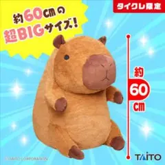 カピバラ　とってもおおきなぬいぐるみ（タイクレ限定）×3点 カピバラ とってもおおきなぬいぐるみ（タイクレ限定） - メルカリ