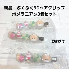 【年度末セール‼️】ぷくぷく3Dヘアクリップ　ポメラニアン3個組　クローバー