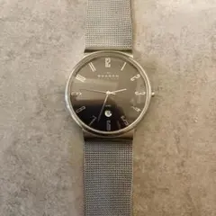 SKAGEN 腕時計