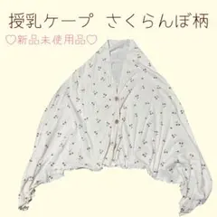 Item thumbnail for item 7a6be119-74f1-4722-9b12-ec7608ffe5c9